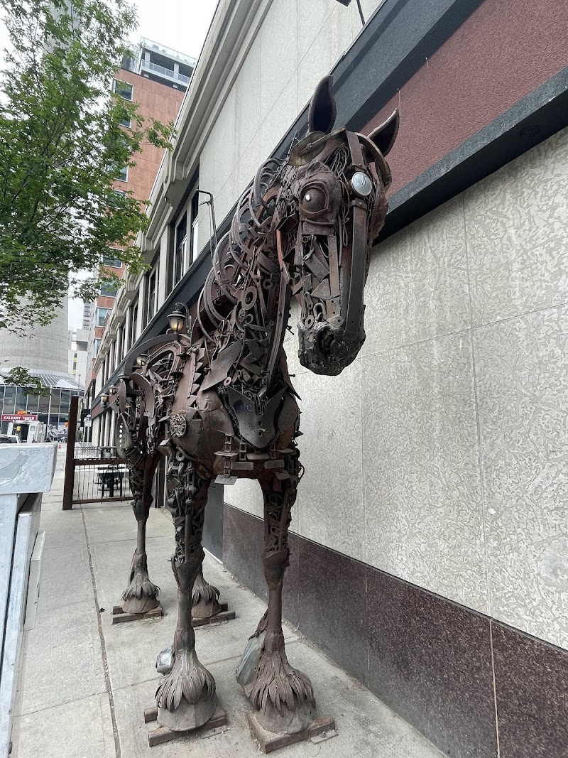 SALTLIK Calgary
